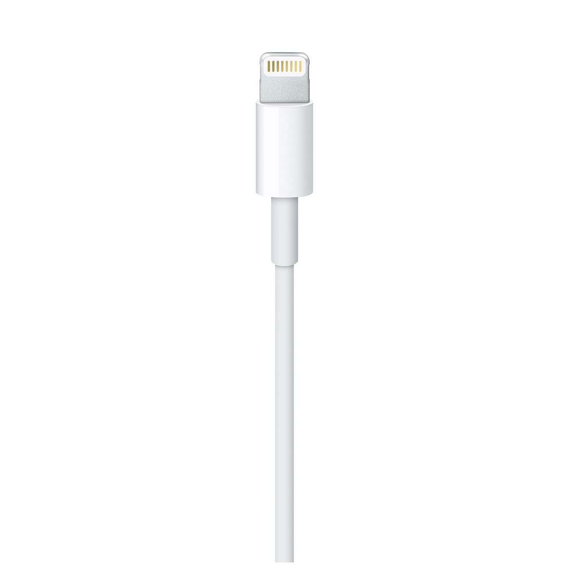 Apple Lightning złącze 