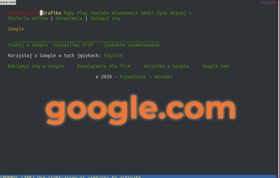 lynx browser
