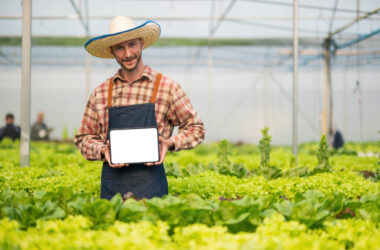 Nowoczesne technologie w rolnictwie i ich wpływ na produkcję żywności